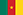 Прапор Камеруну