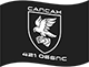 Прапор 421 ОББС «Сапсан»