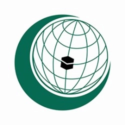Флаги стран Организации Исламского Сотрудничества