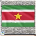Флаг Суринама Флаг Суринама