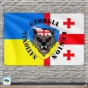 Прапор Грузинського Національного Легіону v2 Прапор Грузинського Національного Легіону v2